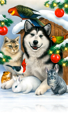 603 Pets Christmas