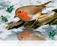 655 Xmas Cardinals 