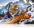 765 Tiger dawn