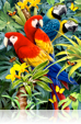 773 Majestic Macaws 3D