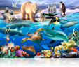 780 Oceans of life