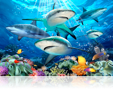 878 Shark reef.tif