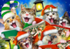 932 Cat Christmas Selfie