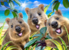 933 Quokka Selfie