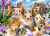 947 Selfie funny Bunnies