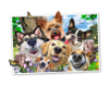 968 Selfie Dogs delight.jpg