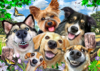 968 Selfie Dogs delight