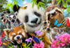 971 Selfie Zoo cuties