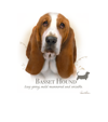 Basset Hound