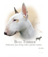 Bull Terrier