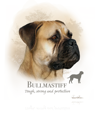 Bullmastiff