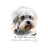 Dandie Dinmont