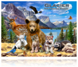 Glacier poster