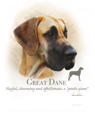 Great Dane