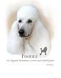 Poodle