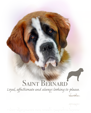 Saint Bernard