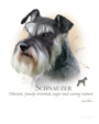 Schnauzer