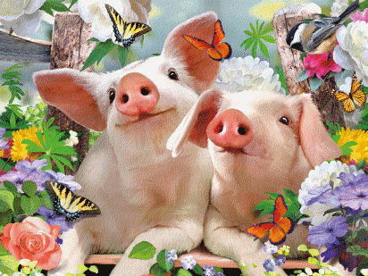 12 Designs Animals & Animal Selfies Howard Robinson Super 3D Moving Postcards 